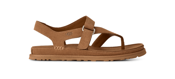 UGG GoldenGaze Toe Post Sandal in Chestnut